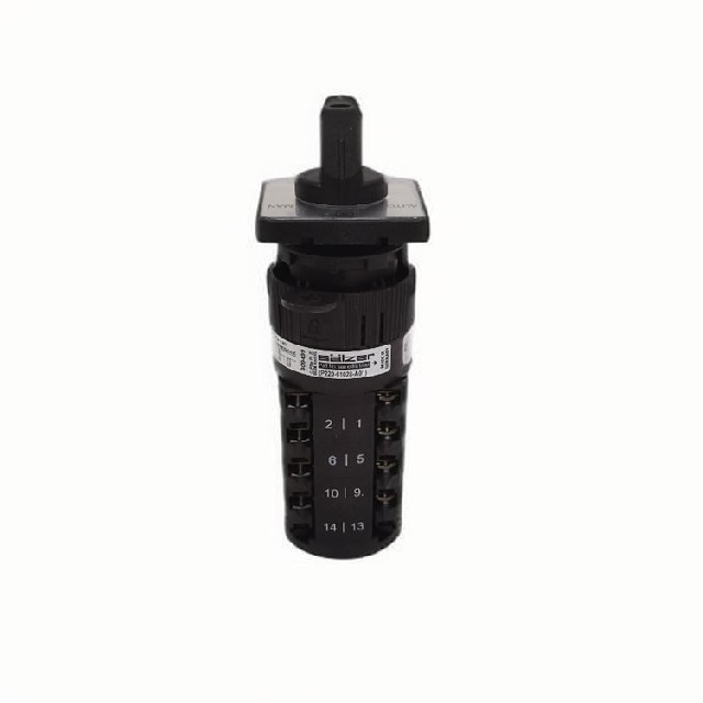 德國Salzer 凸輪轉換開關 P220-61069-A01